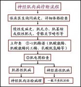 如何诊断肌营养不良等神经肌肉疾病?